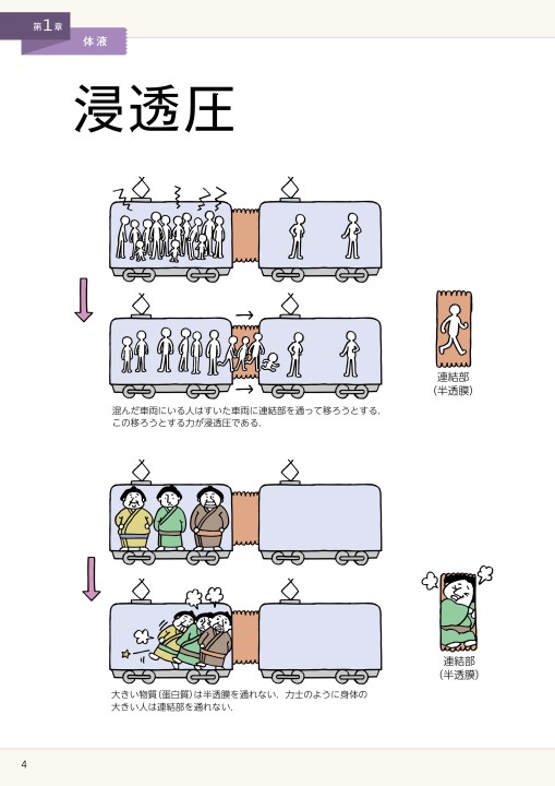 イラストでまなぶ生理学 第3版 立ち読み