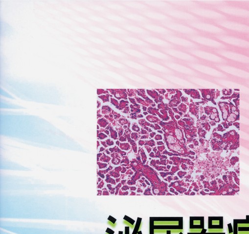 泌尿器病理診断トレーニング | 書籍詳細 | 書籍 | 医学書院