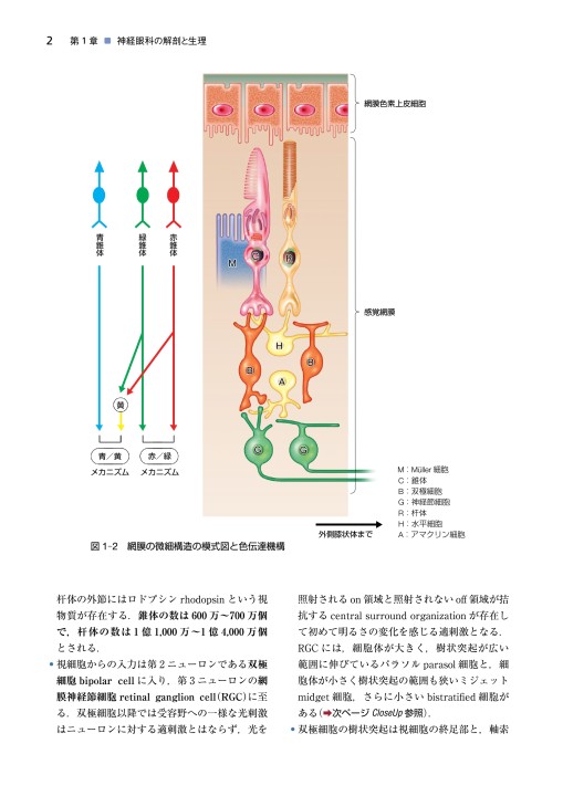 神経眼科学を学ぶ人のために 第2版』 立ち読み 神経眼科学を学ぶ人のために 第2版』 立ち読み