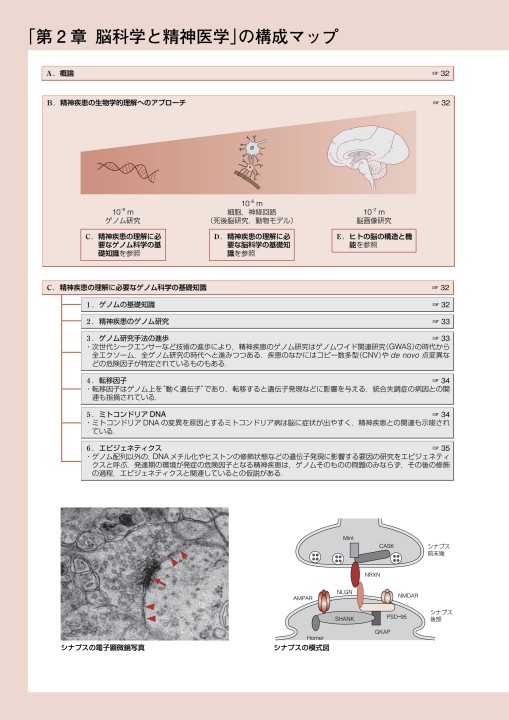 まとめ/42冊セット 子どもの精神医学 洋書/英語/児童/青年/思春