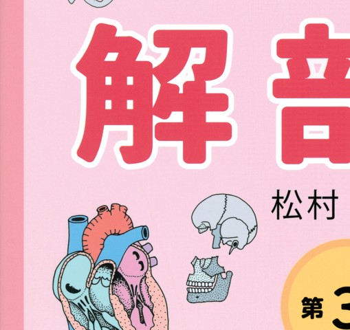 イラストでまなぶ解剖学 立ち読み