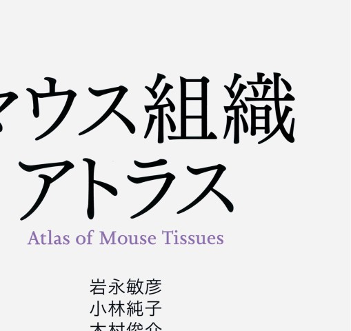 マウス組織アトラス マウス組織アトラス』 立ち読み