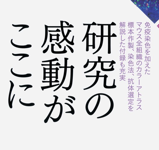 マウス組織アトラス』 立ち読み