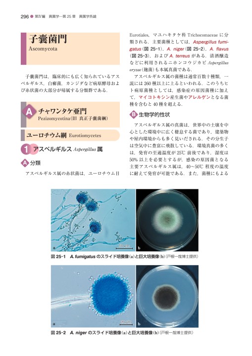 標準微生物学　標準外科学 標準外科学 第16版 (STANDARD TEXTBOOK) | 北野 正剛, 坂井 義治