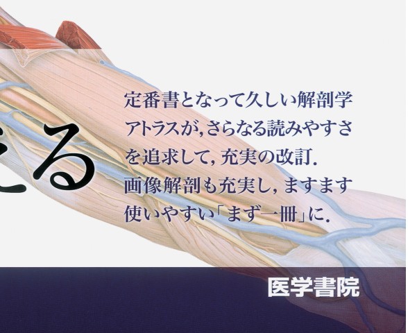 プロメテウス解剖学コアアトラス 第3版』 立ち読み