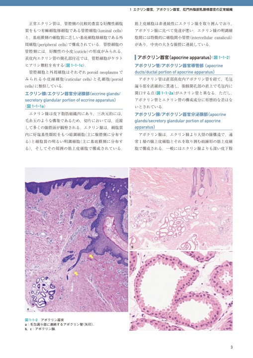 皮膚付属器腫瘍アトラス』 立ち読み