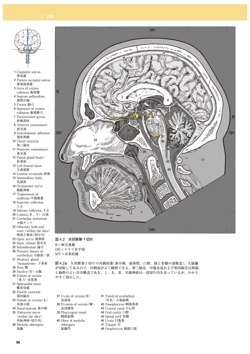 脳の機能解剖と画像診断 第2版 立ち読み