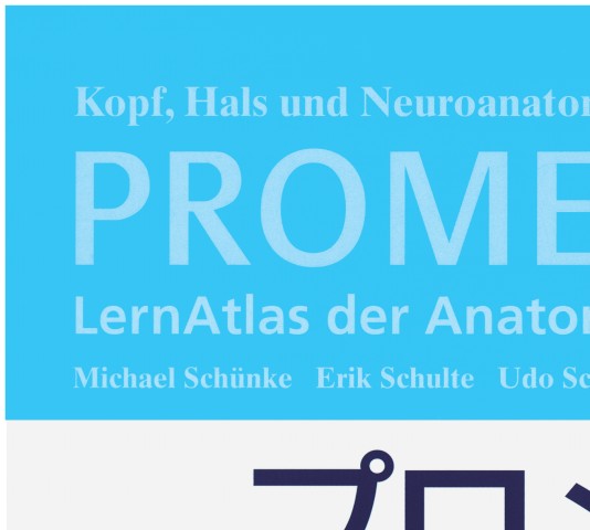 プロメテウス解剖学アトラス 頭頸部／神経解剖 第3版』 立ち読み
