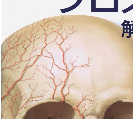 プロメテウス解剖学アトラス 頭頸部／神経解剖 第3版』 立ち読み