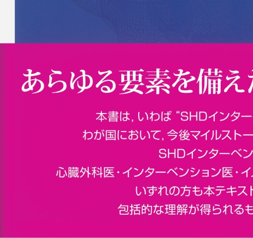 SHDインターベンションコンプリートガイド