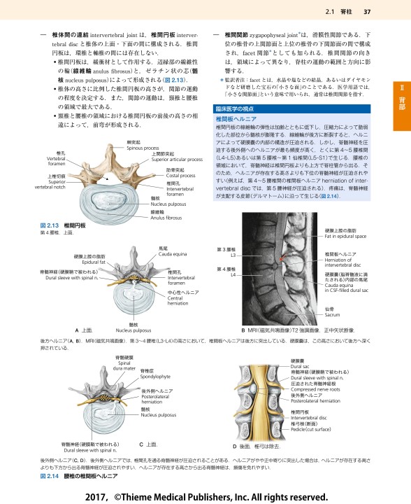 プロメテウス解剖学エッセンシャルテキスト』 立ち読み