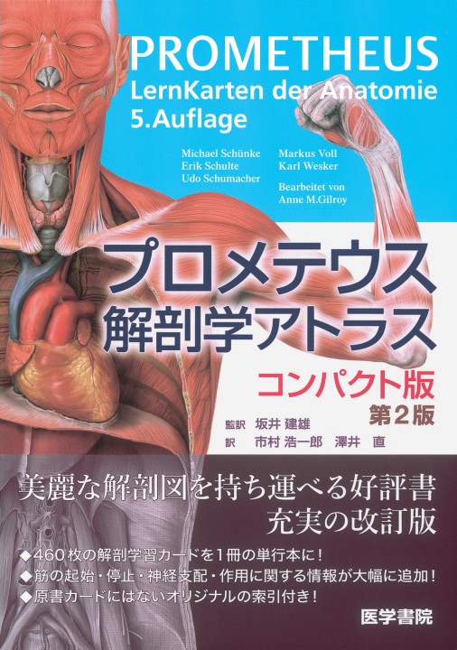 プロメテウス解剖学アトラス コンパクト版 第2版』立ち読み