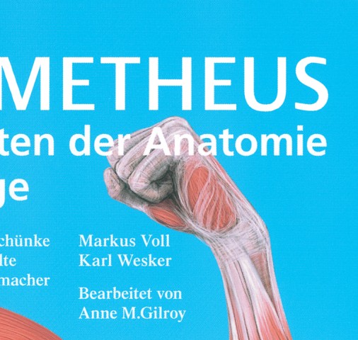プロメテウス解剖学アトラス コンパクト版 第2版』立ち読み