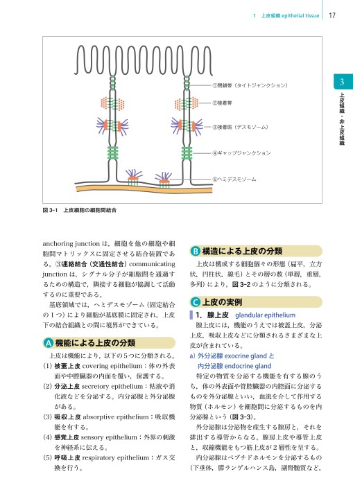 【期間限定値下げ】細胞診を学ぶ人のために 第6版 51GcFSEqmpL._AC_SY200_QL15_.jpg
