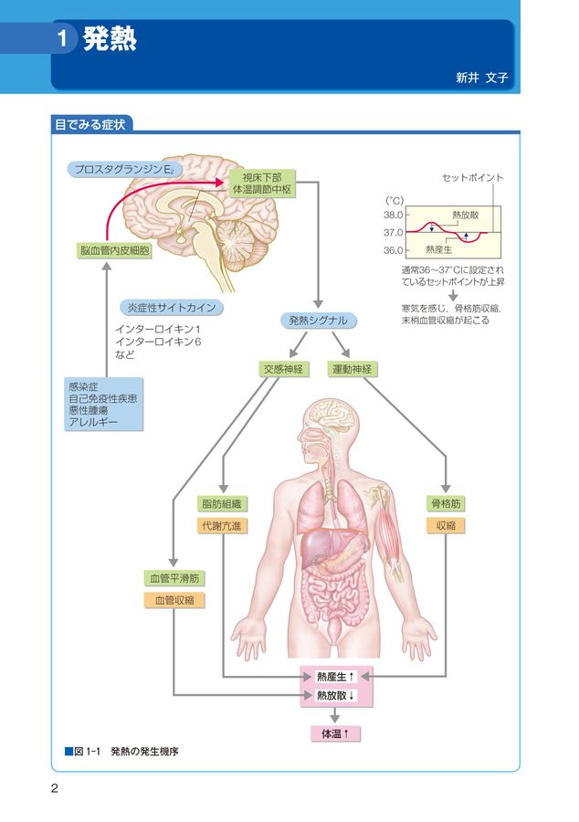 緊急度・重症度からみた症状別看護過程+病態関連図_第3版_立読み
