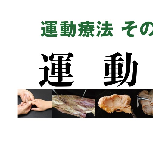運動器の臨床解剖アトラス』 立ち読み