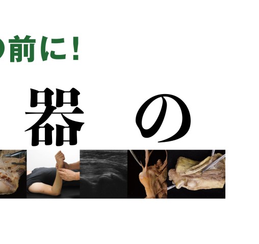 運動器の臨床解剖アトラス』 立ち読み
