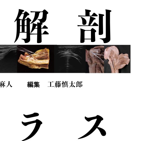 運動器の臨床解剖アトラス』 立ち読み