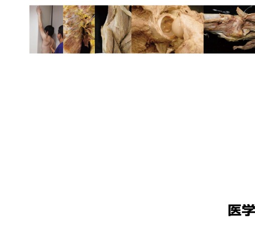 運動器の臨床解剖アトラス』 立ち読み