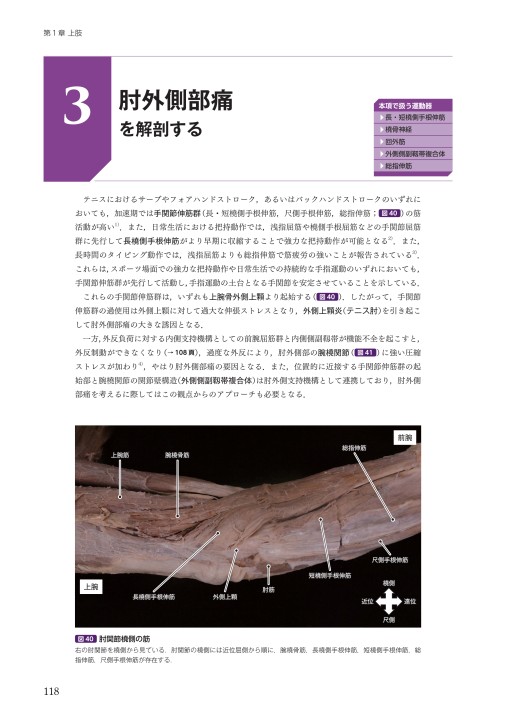 運動器の臨床解剖アトラス』 立ち読み