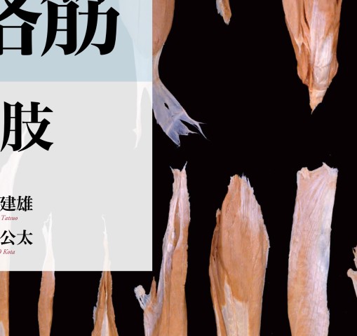 人体の骨格筋 上肢 第1版』 立ち読み