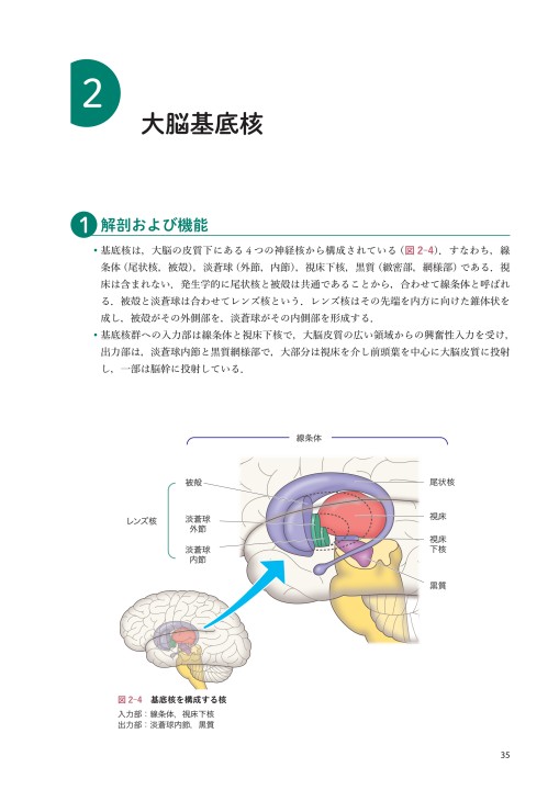 脳血管障害のリハビリテーション医学・医療テキスト / 高陽堂書店