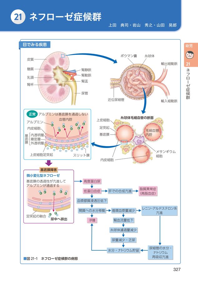 発達段階からみた小児看護過程+病態関連図_第4版_立読み