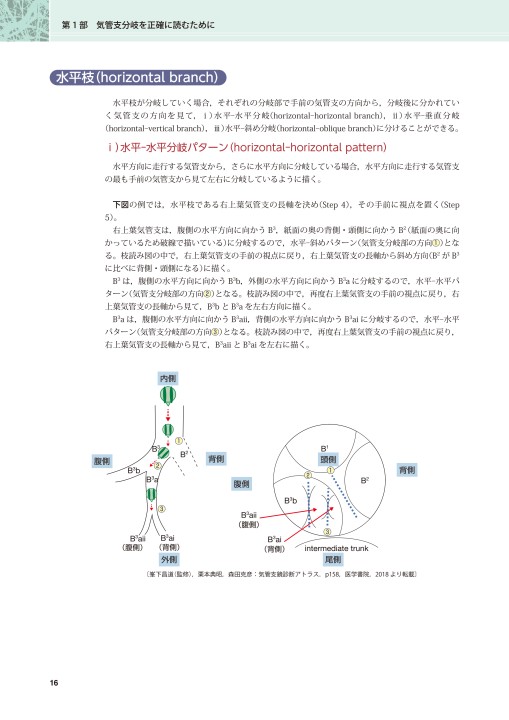 末梢病変を捉える 気管支鏡“枝読み”術 [DVD-ROM（Windows版）付] 第2版