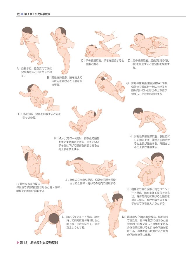 05013_標準理学療法学・作業療法学_専門基礎分野_小児科学_第6版