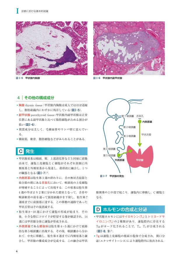 超音波・細胞・組織からみた甲状腺疾患診断アトラス_立読み 超音波・細胞・組織からみた甲状腺疾患診断アトラス_立読み