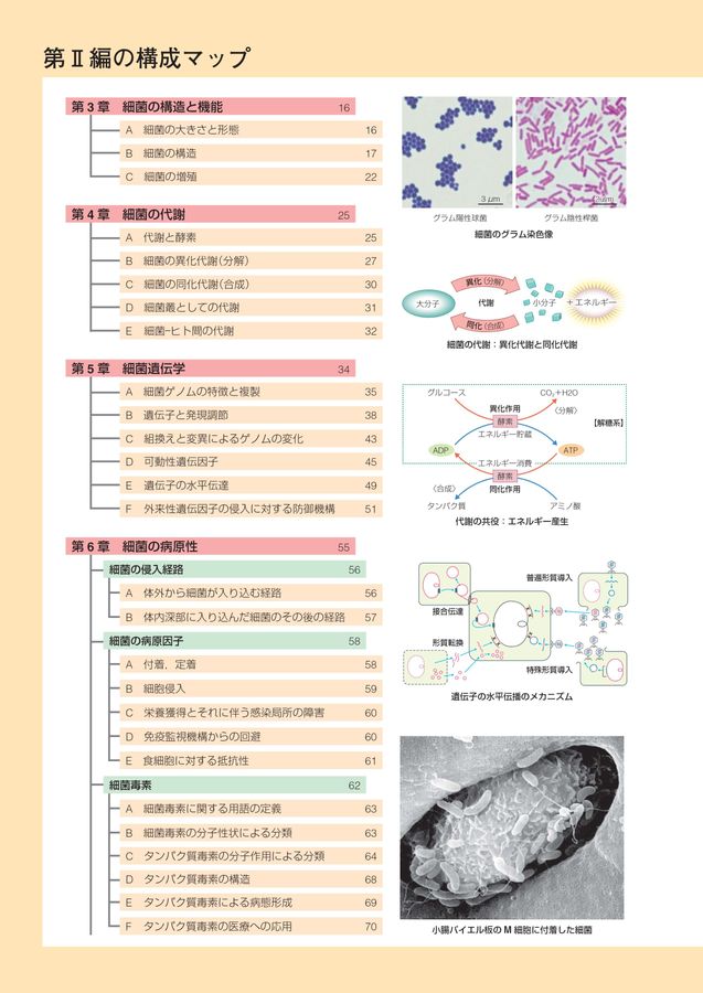 標準微生物学_第15版_立読み