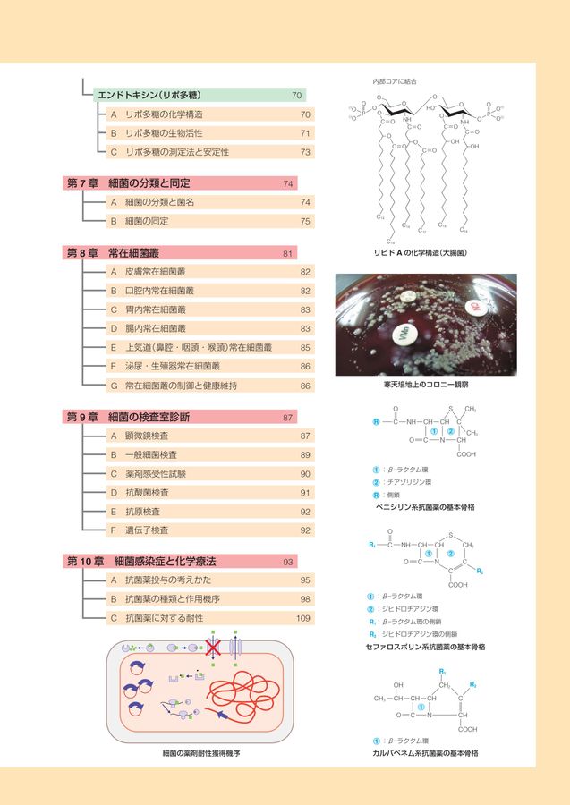 標準微生物学 第15版 | 書籍詳細 | 書籍 | 医学書院