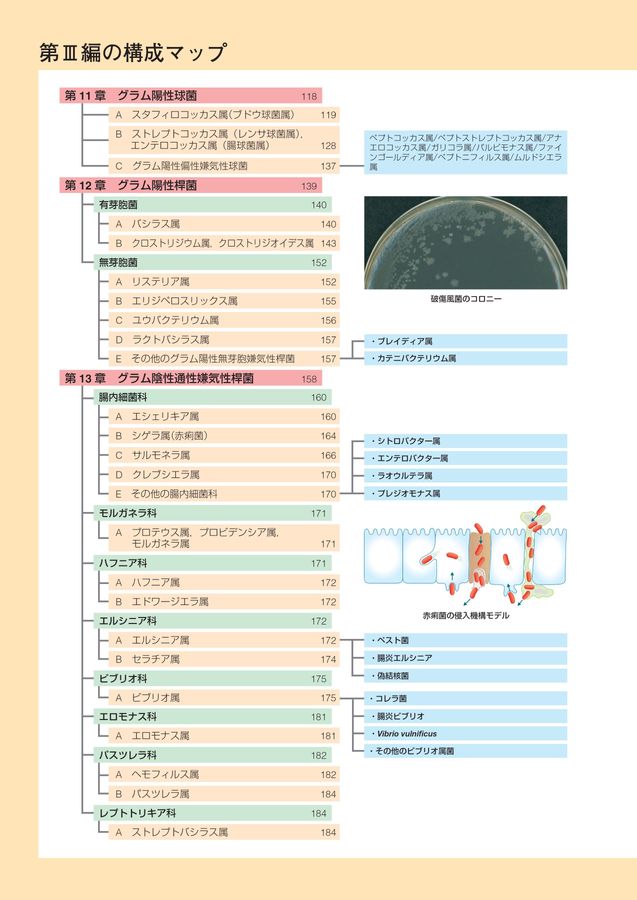 標準微生物学 第15版 (Standard Textbook) | 錫谷達夫 松本哲哉