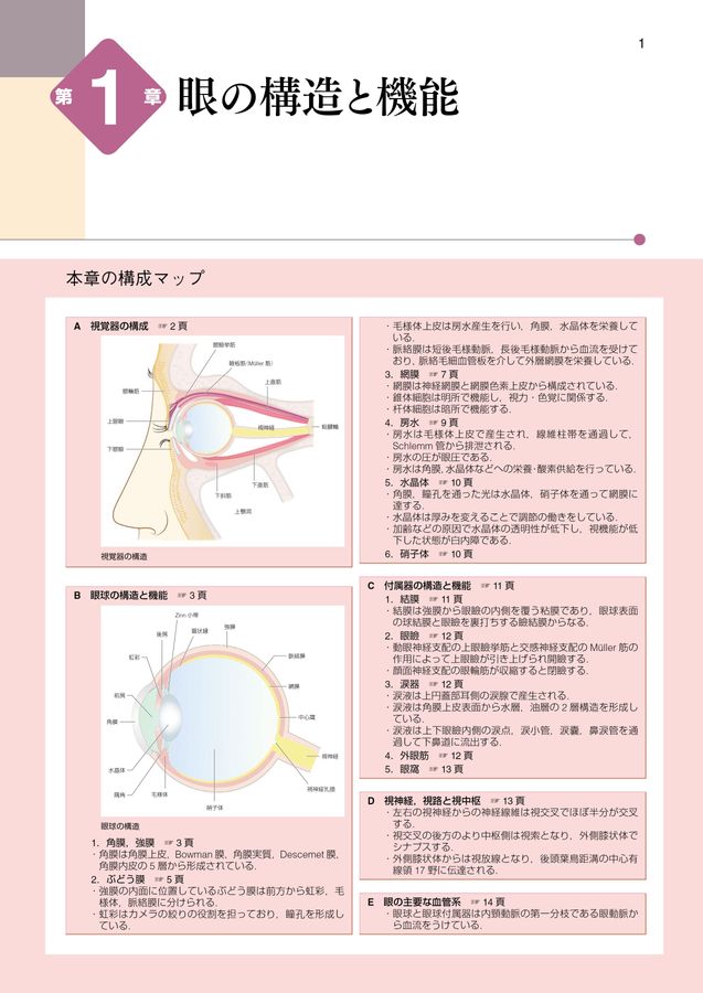 標準整形外科学 第15版 Amazon.co.jp: 標準整形外科学 第15版 (Standard Textbook) : 井樋