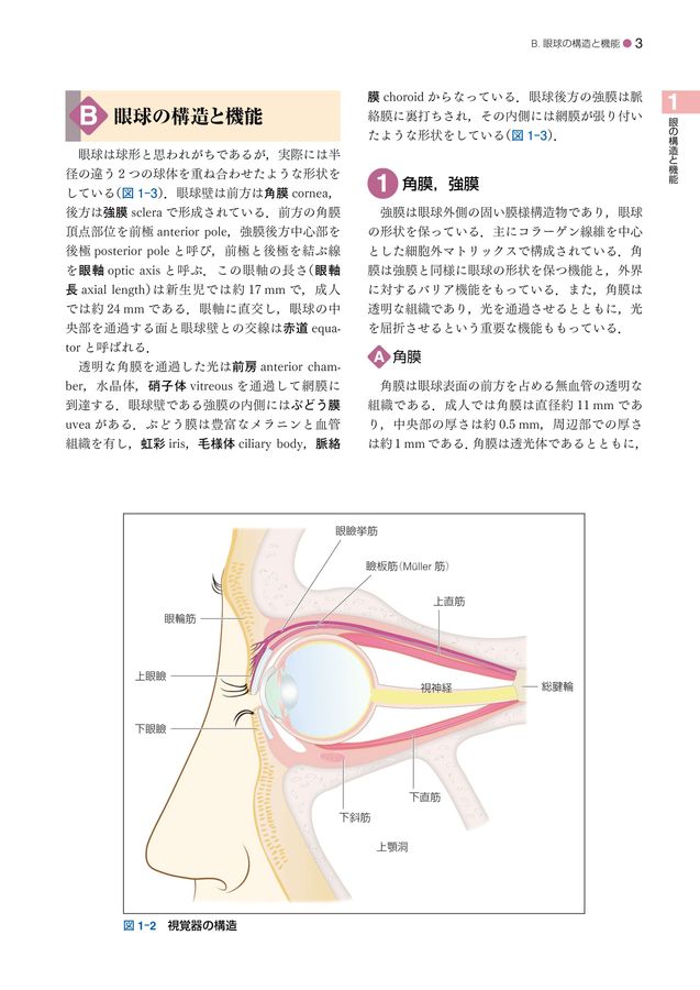 標準眼科学 第15版 Amazon.co.jp: 標準眼科学 第15版 (Standard textbook) : 中澤
