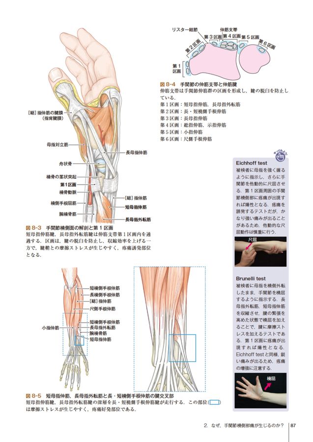 運動器疾患の「なぜ？」がわかる臨床解剖学 / 工藤 慎太郎【編著