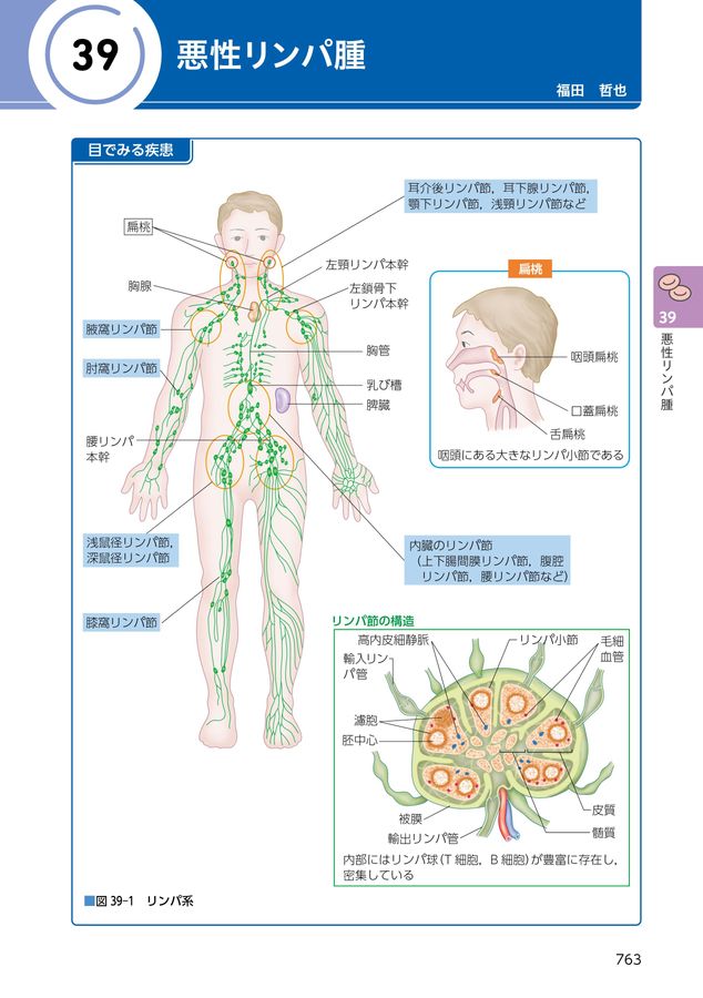 病期・病態・重症度からみた_疾患別看護過程＋病態関連図_第5版_