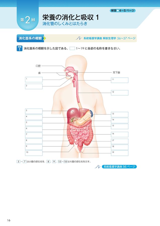 系統看護学講座 系統看護学講座 2025_パンフレット