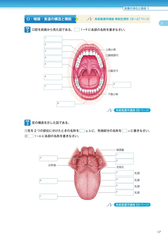 2025年版_系統看護学講座準拠_解剖生理学ワークブック_立読み