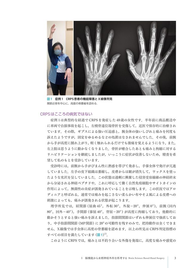 末梢神経外科×神経科学_立読み
