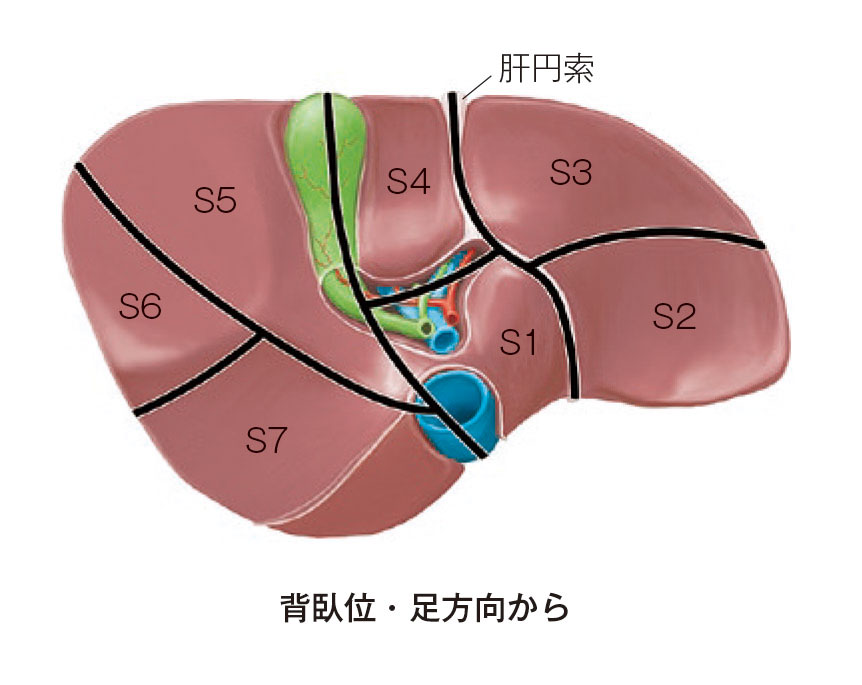 IV頁 下部・画像（第5刷～）