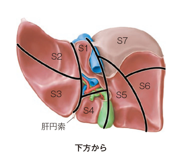 IV頁 下部・画像（～第4刷）