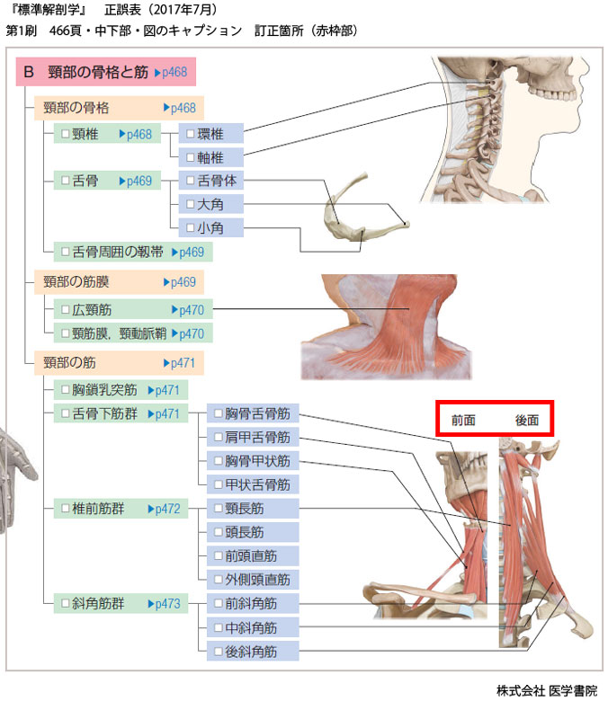 医学書院／正誤表・サポート情報／『標準解剖学』 正誤表