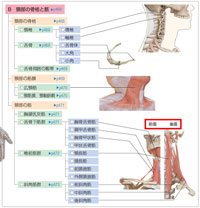 P466 中下部・図のキャプション