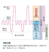 P.70・Clinical scope内「●肺活量」　訂正箇所（赤枠・青枠部）