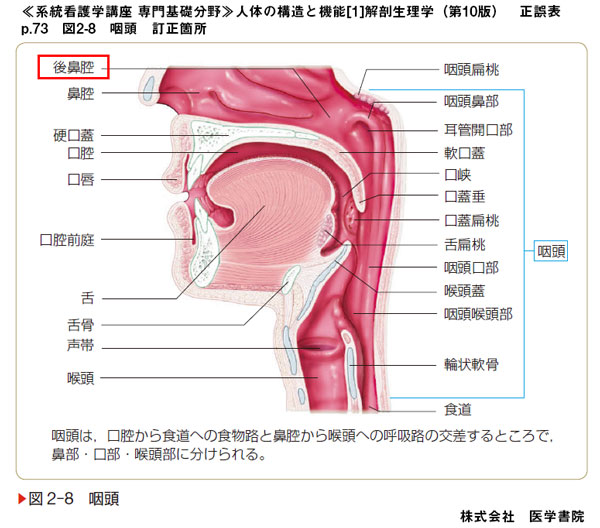 医学書院 正誤表 サポート情報 系統看護学講座 専門基礎分野 人体の構造と機能 1 解剖生理学 第10版 正誤表