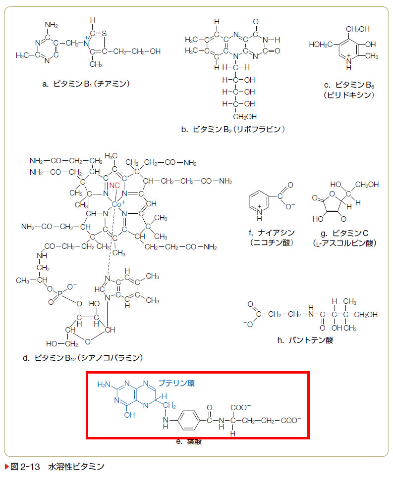 医学書院／正誤表・サポート情報／『≪系統看護学講座 専門基礎分野≫人体の構造と機能[2] 生化学（第14版）』 正誤表