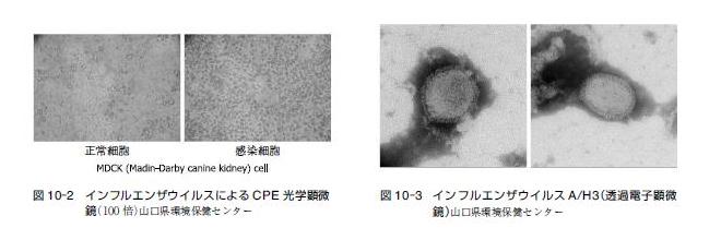 図10-2，図10-3