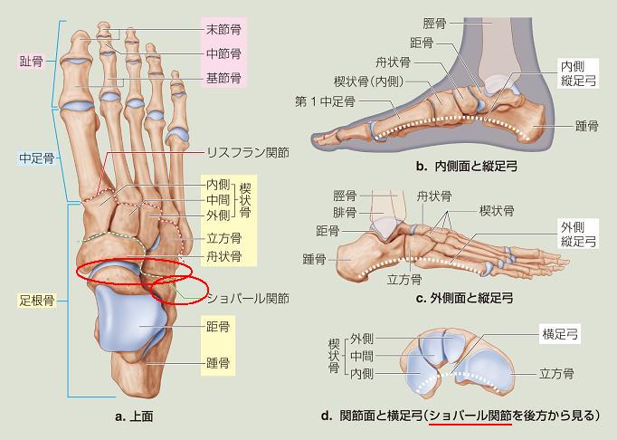 医学書院／正誤表・サポート情報／『≪系統看護学講座 専門基礎