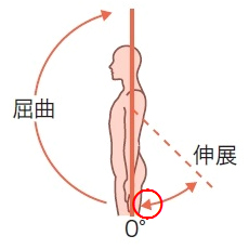 医学書院 正誤表 サポート情報 フィジカルアセスメント ガイドブック 目と手と耳でここまでわかる 第2版 正誤表